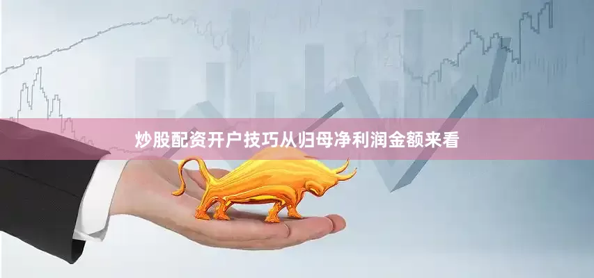 炒股配资开户技巧　　从归母净利润金额来看