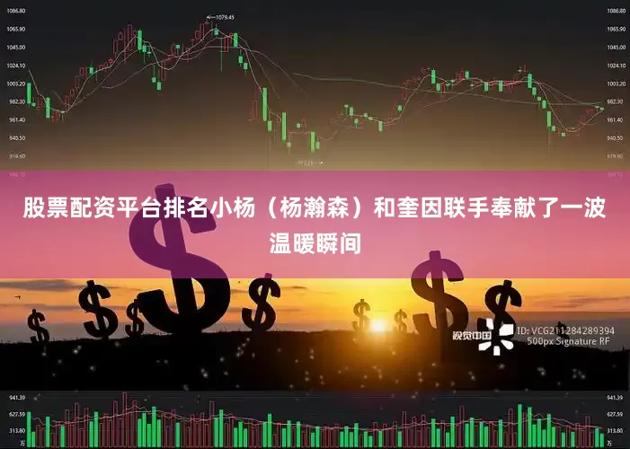 股票配资平台排名小杨（杨瀚森）和奎因联手奉献了一波温暖瞬间